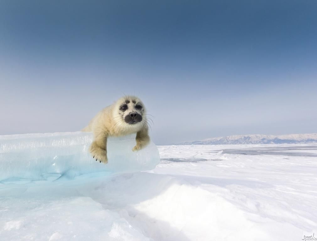 bestofrussia-by-Alexey_Trofimov_compr.jpg
